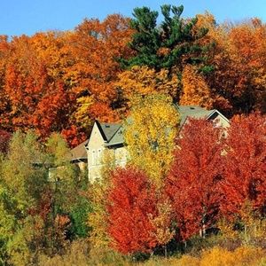 Meet your Posher, Yulia